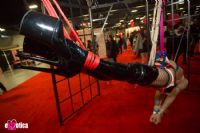 2016eXXXoticaչʱ1DƬ36