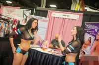 2013(gu)eXXXoticaչʼ\DƬ39