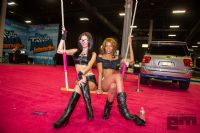 2012eXXXoticaչF(xin)(2)DƬ58