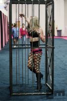 2009eXXXoticaչF(xin)\DƬ58